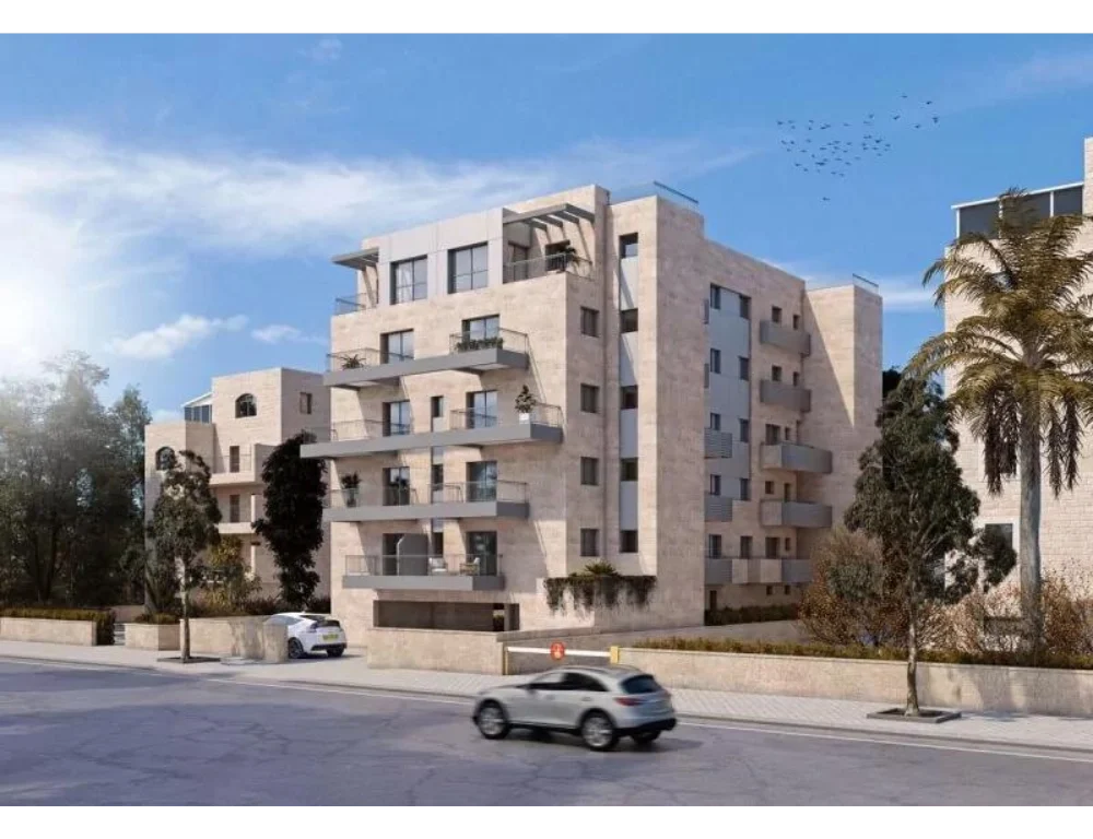 אליעזר הלוי 20 1001
