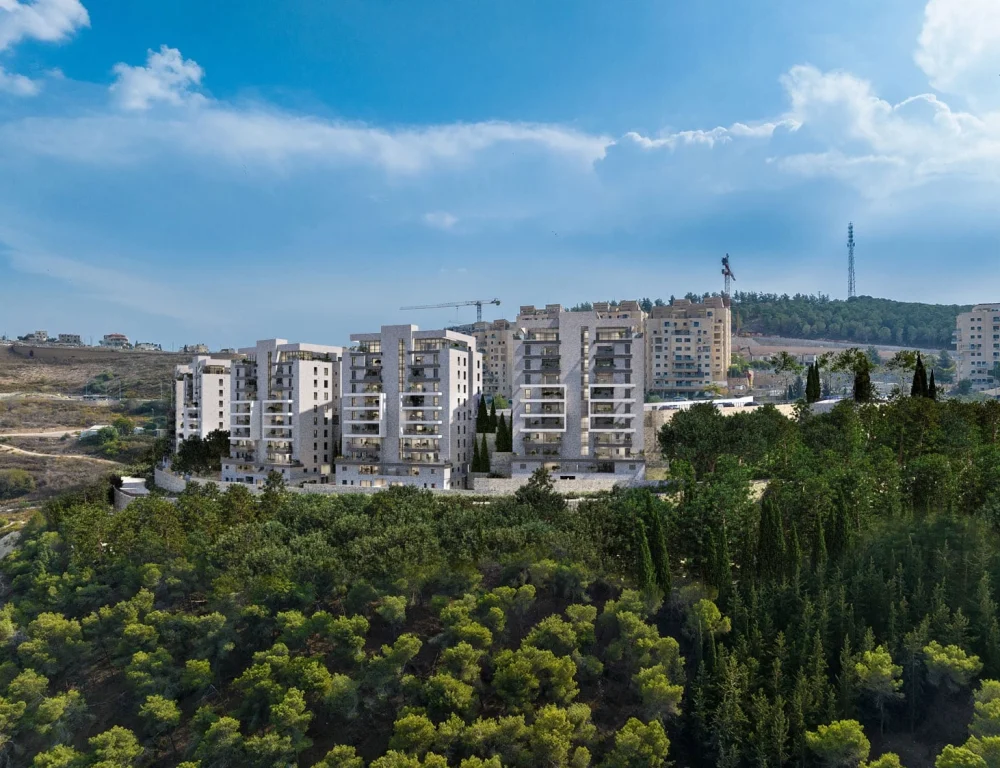 אפי בהר יונה 1