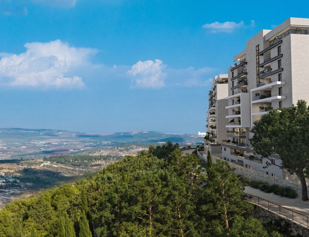 אפי בהר יונה 2